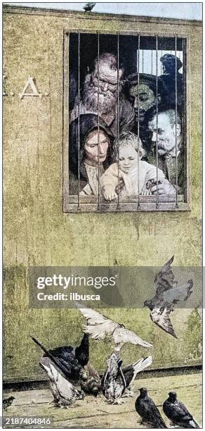 antique painting illustration: watching birds - train window stock illustrations