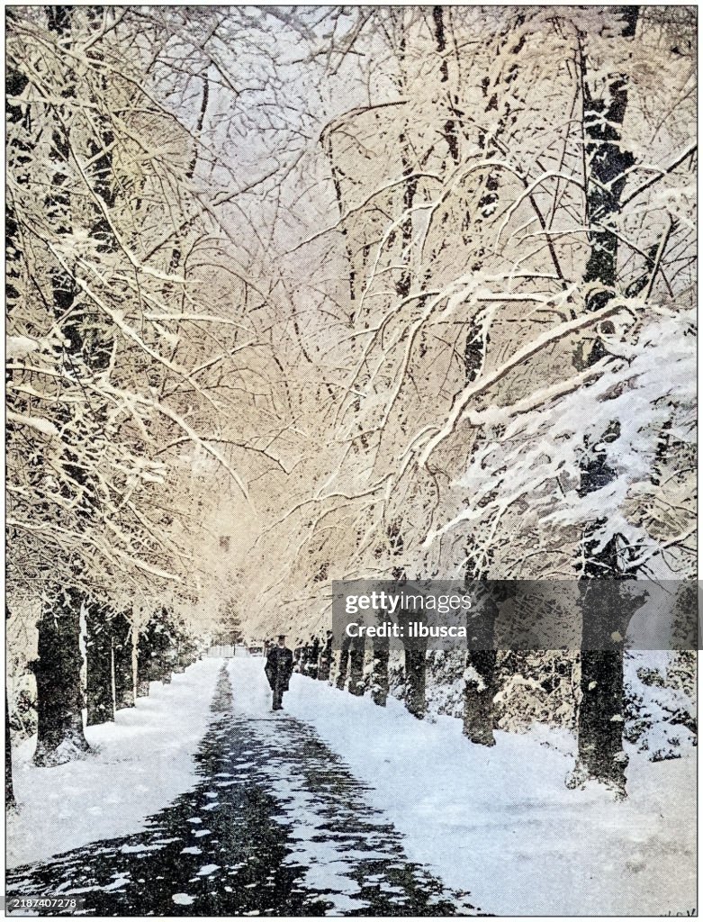 Antique photograph: Snow in Cambridge