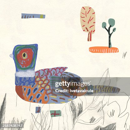 Pheasant Pheasant