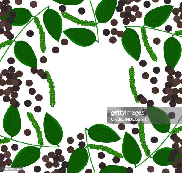 black pepper - black pepper stock illustrations