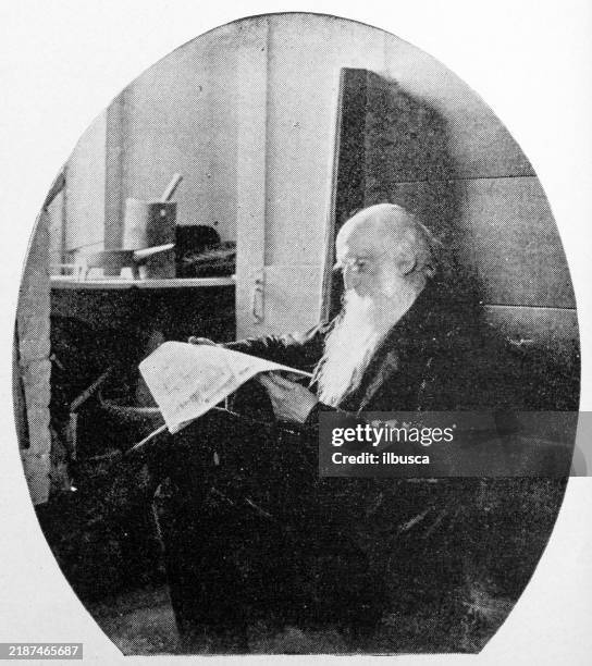 antique image of franklin county, massachusetts: george sheldon - old man reading newspaper stock illustrations