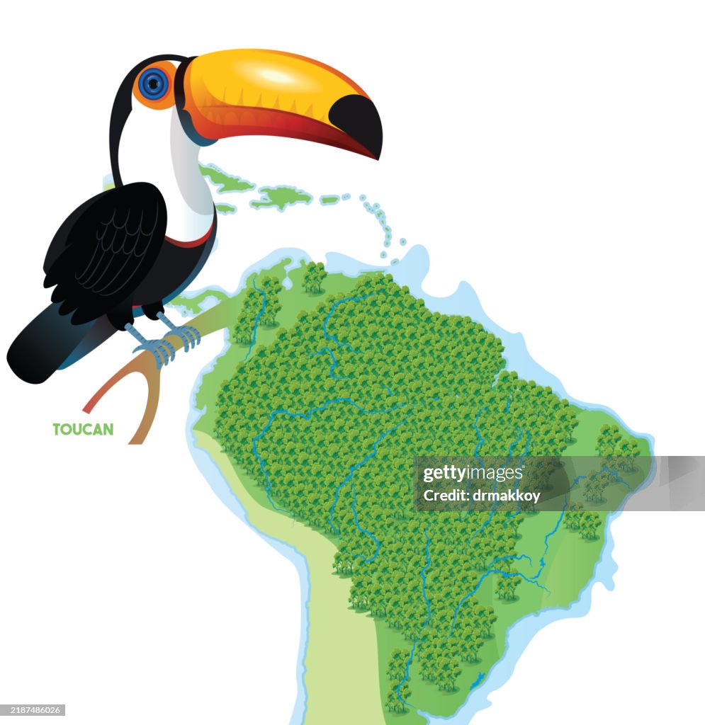 Amazon Rain Forest Map and Toucan