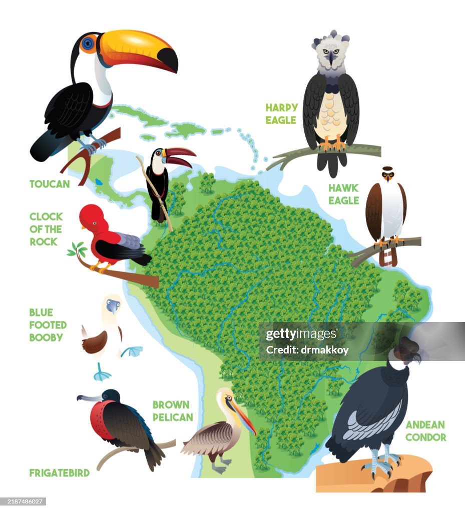 Amazon Rain Forest Birds Map