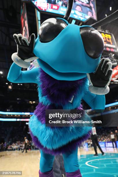 Hugo the Hornet celebrates during the Detroit Pistons vs Charlotte Hornets game on November 6, 2024 at the Spectrum Center in Charlotte, North...