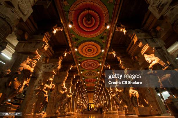 meenakshi temple, one of the biggest and oldest temple, madurai, india. - madurai meenakshi sundareswarar temple stock pictures, royalty-free photos & images