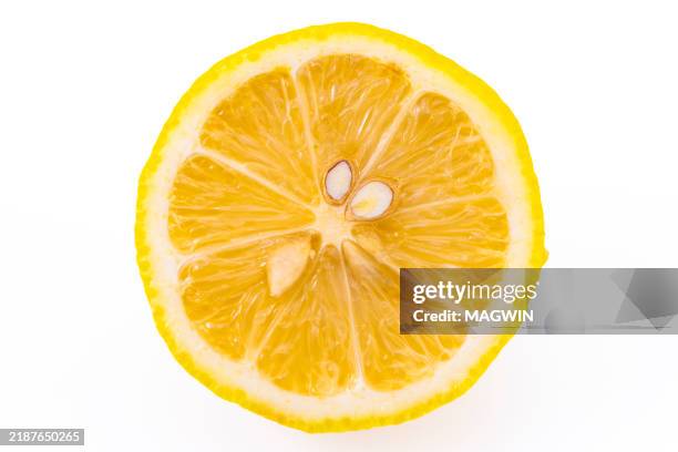 Circular Lemon 1,641 Circular Lemon Slice Stock Photos, High-Res Pictures, and Images ...