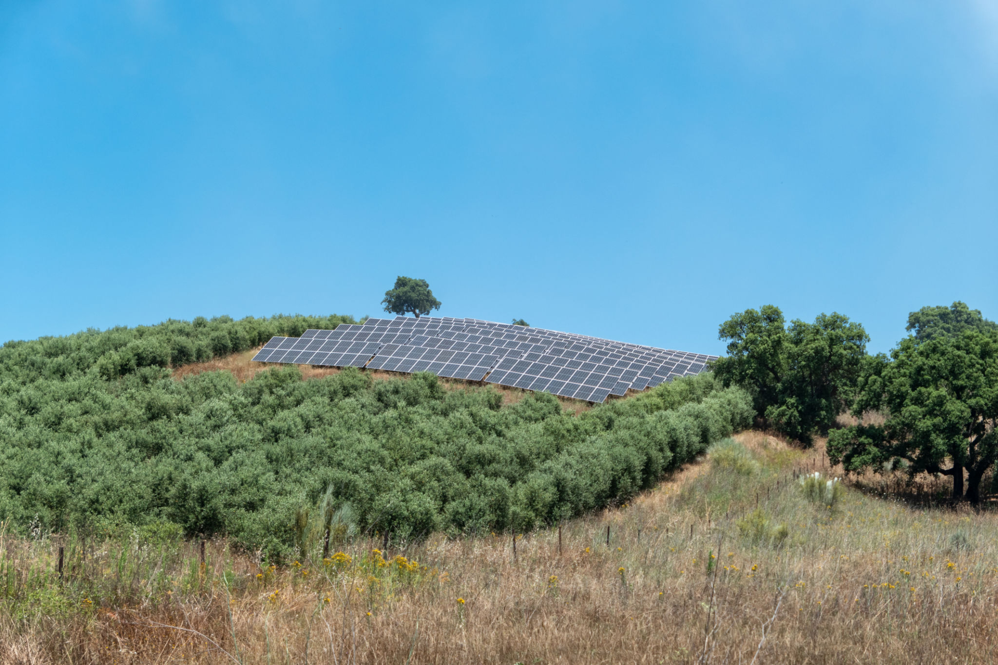 painéis solares