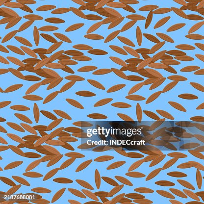 Cumin seed seamless pattern Cumin seed seamless pattern