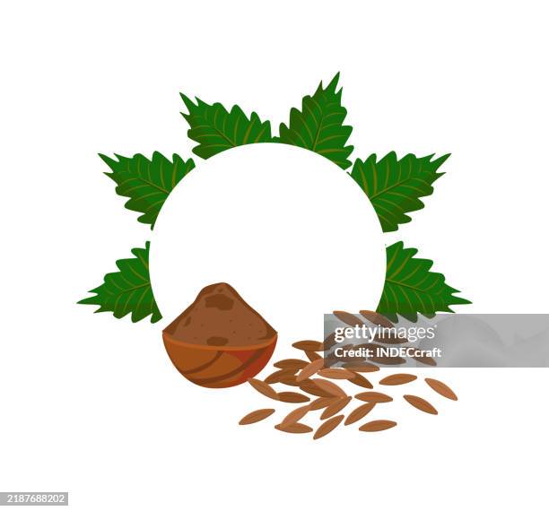 cumin seed with powder - cardamom stock illustrations
