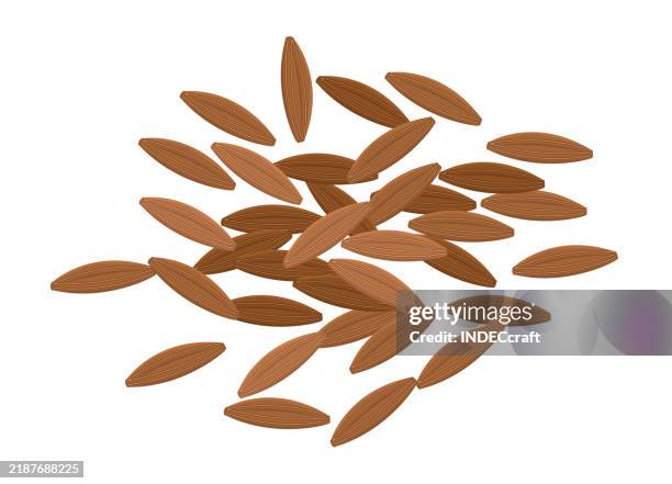 cumin seed - cumin seeds stock illustrations