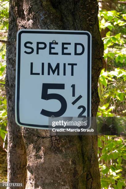 5mb Speed Sign 154 5 Mph Sign Stock Photos, High-Res Pictures, and Images - Getty Images