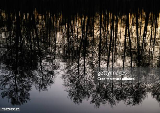 December 2024, Brandenburg, Berkenbrück: Bare alders are reflected in the Fürstenwalder Spree shortly after sunset. Photo: Patrick Pleul/dpa