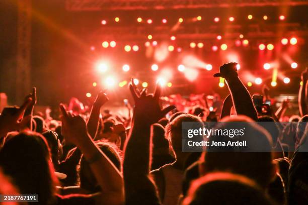 rock concert mosh pit, concert crowd rear view, concert audience silhouette - rockmusiker stock-fotos und bilder