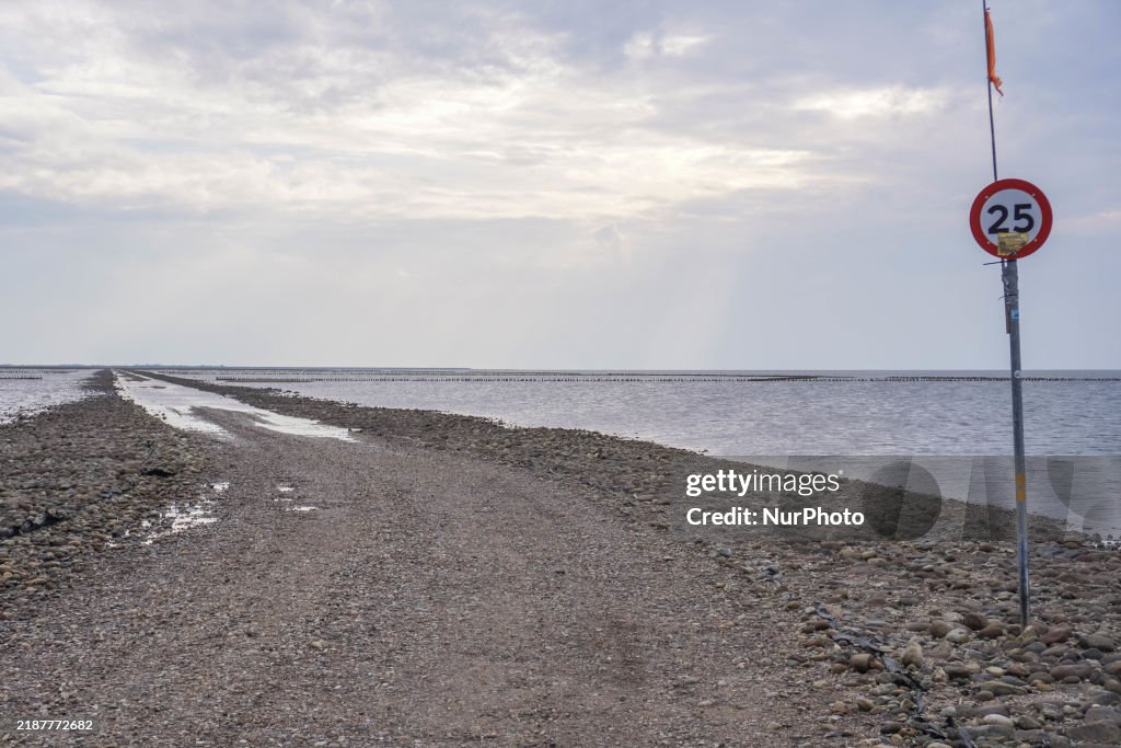 Daily Life In Mando, Denmark