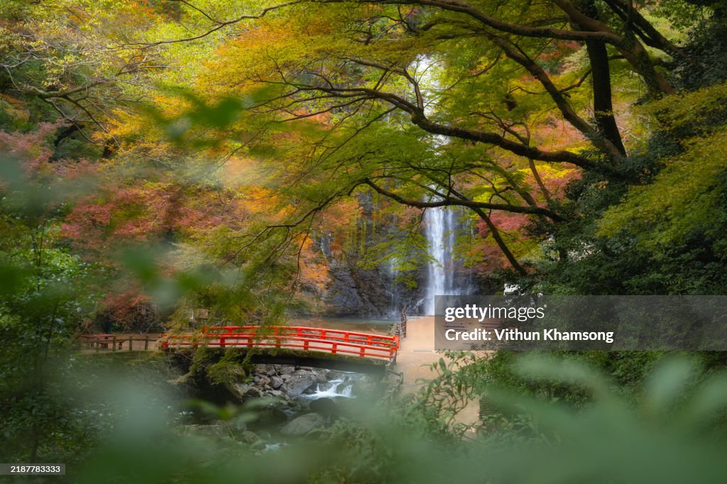 Beautiful Minoh Waterfall in autumn season with empty people on bridge in Minoo Park, Osaka, Japan