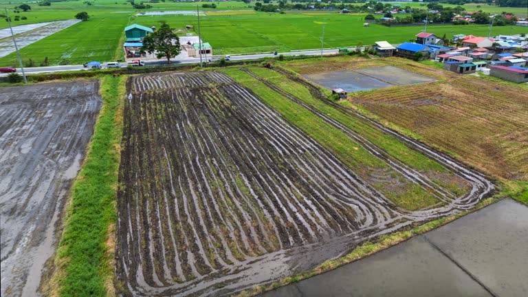 Philippines Rural Rice Field 958 Philippine Farm Stock Videos, Footage, & 4K Video Clips - Getty Images