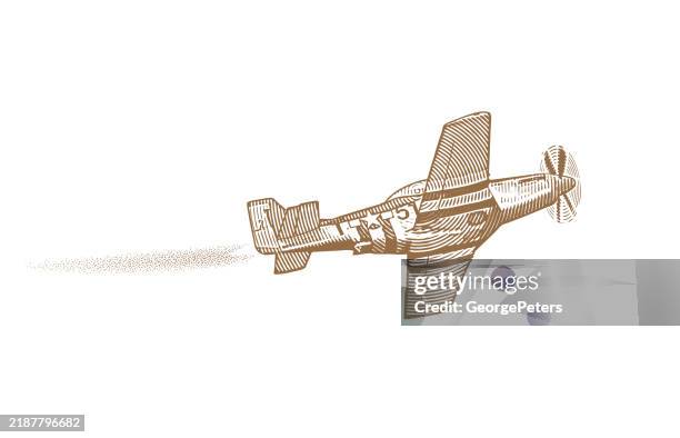 p-51 mustang fighter plane - us military stock illustrations