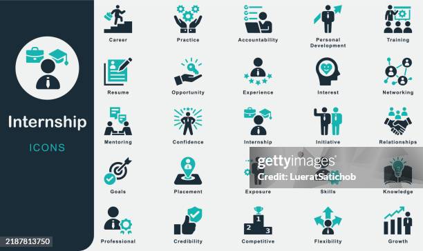 internship solid icons collection.containing knowledge, human resource, goals, skills, training, mentoring, practice, opportunity, workplace, personal, development, experience, credibility, career - student leader icon stock illustrations