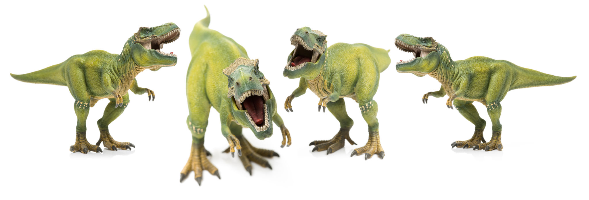 green tyrannosaurus green tyrannosaurus