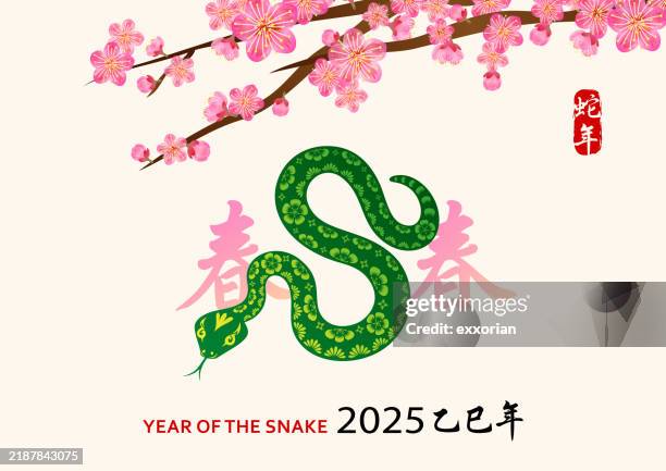 2025 green snake in double spring - first spring flower stock illustrations