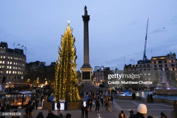 The Trafalgar Square Christmas tree.