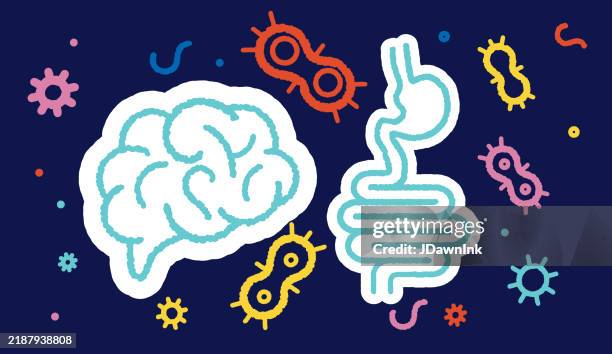 gehirn darm verbindung gesundheitskonzept: menschlicher darm mit darmbakterien, die das gehirn und das verdauungssystem umgeben - human-digestive-system-diagram stock-grafiken, -clipart, -cartoons und -symbole