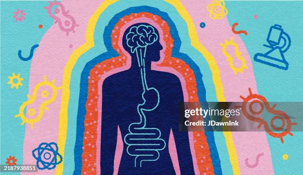 illustrations, cliparts, dessins animés et icônes de brain gut connection concept abstrait de santé et de science avec la silhouette de l’homme avec le cerveau et l’intestin entouré de bactéries intestinales et d’éléments scientifiques - microbiote