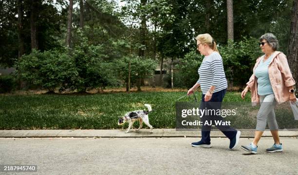 two senior women with pet dog walking on neighborhood trail - leash stock pictures, royalty-free photos & images