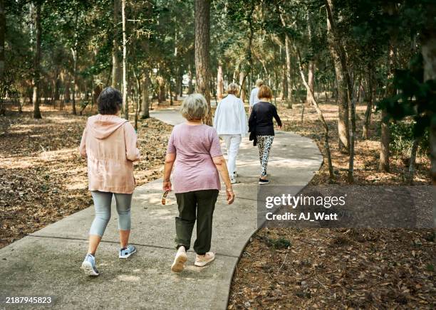 des femmes âgées marchent ensemble sur le sentier du parc - marches photos et images de collection