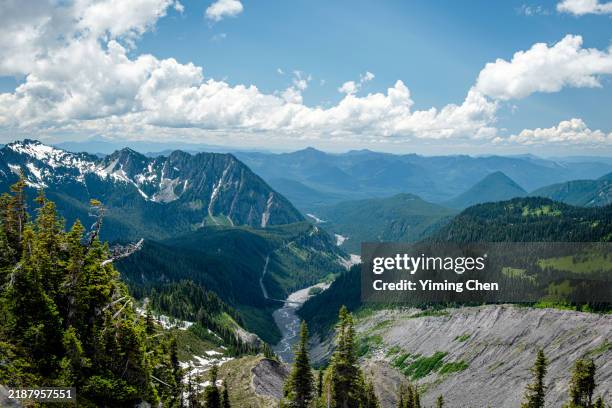 nisqually river valley - mount rainier nationalpark stock-fotos und bilder