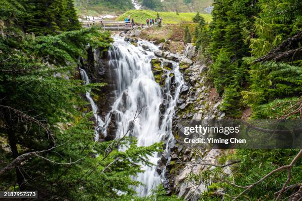 myrtle falls of mount rainier national park - mount rainier nationalpark stock-fotos und bilder