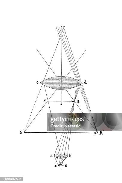 Setting Up The Compound Microscope High-Res Vector Graphic - Getty Images