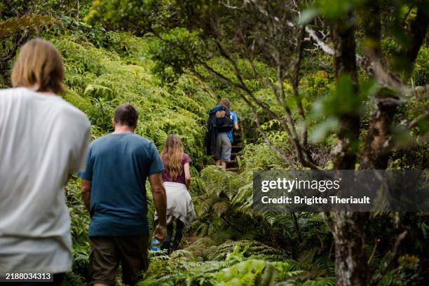 family hiking the napali coast trail surrounded by vegetation - pacific islands stock pictures, royalty-free photos & images
