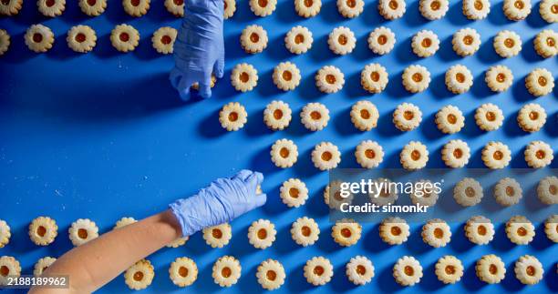 disposición de galletas en la cinta transportadora con la mano enguantada - planta-de-procesamiento-de-comida fotografías e imágenes de stock
