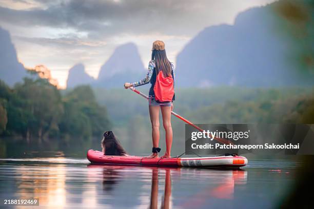 morning paddle - using a paddle stock pictures, royalty-free photos & images