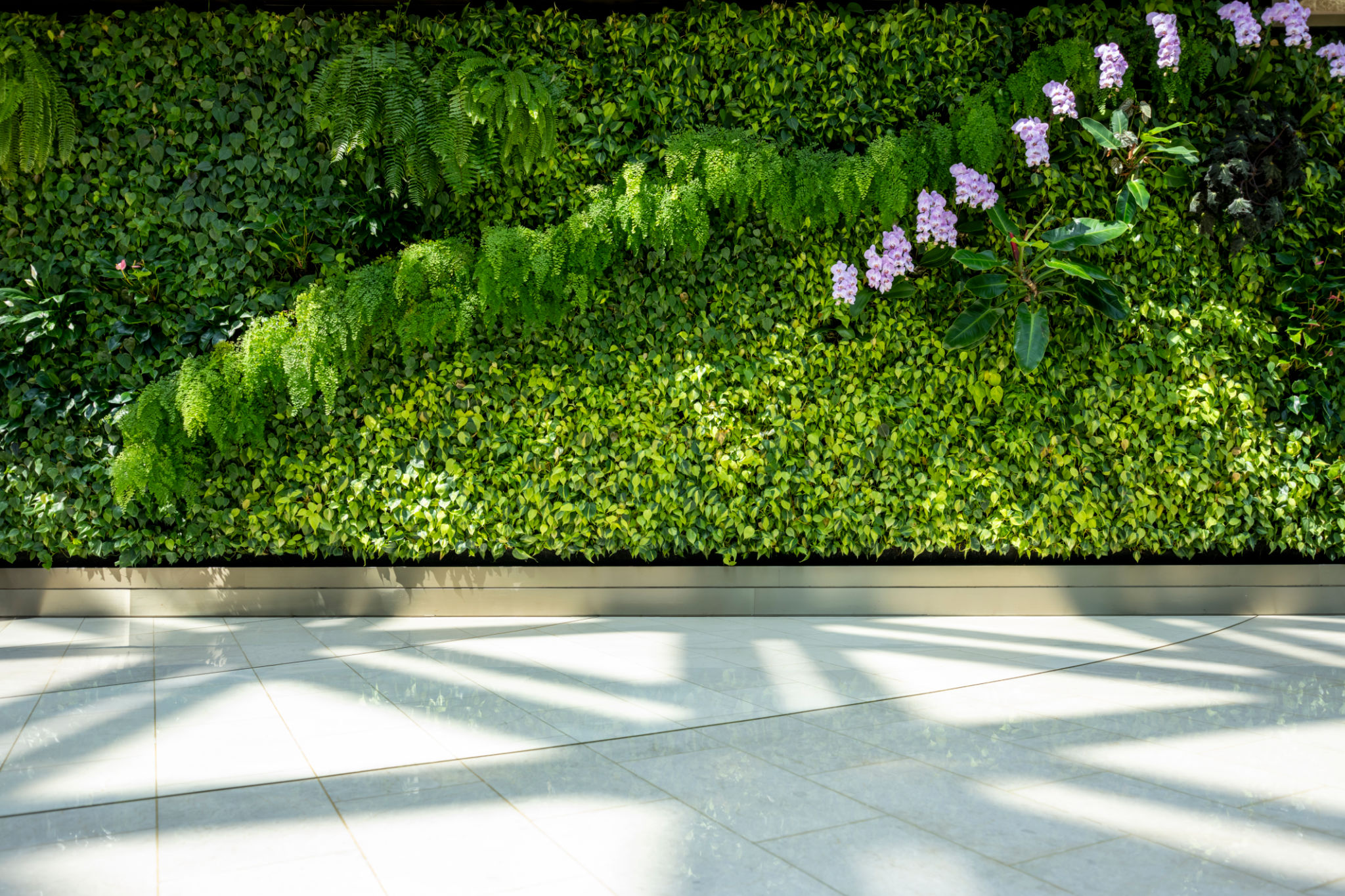 green wall maintenance