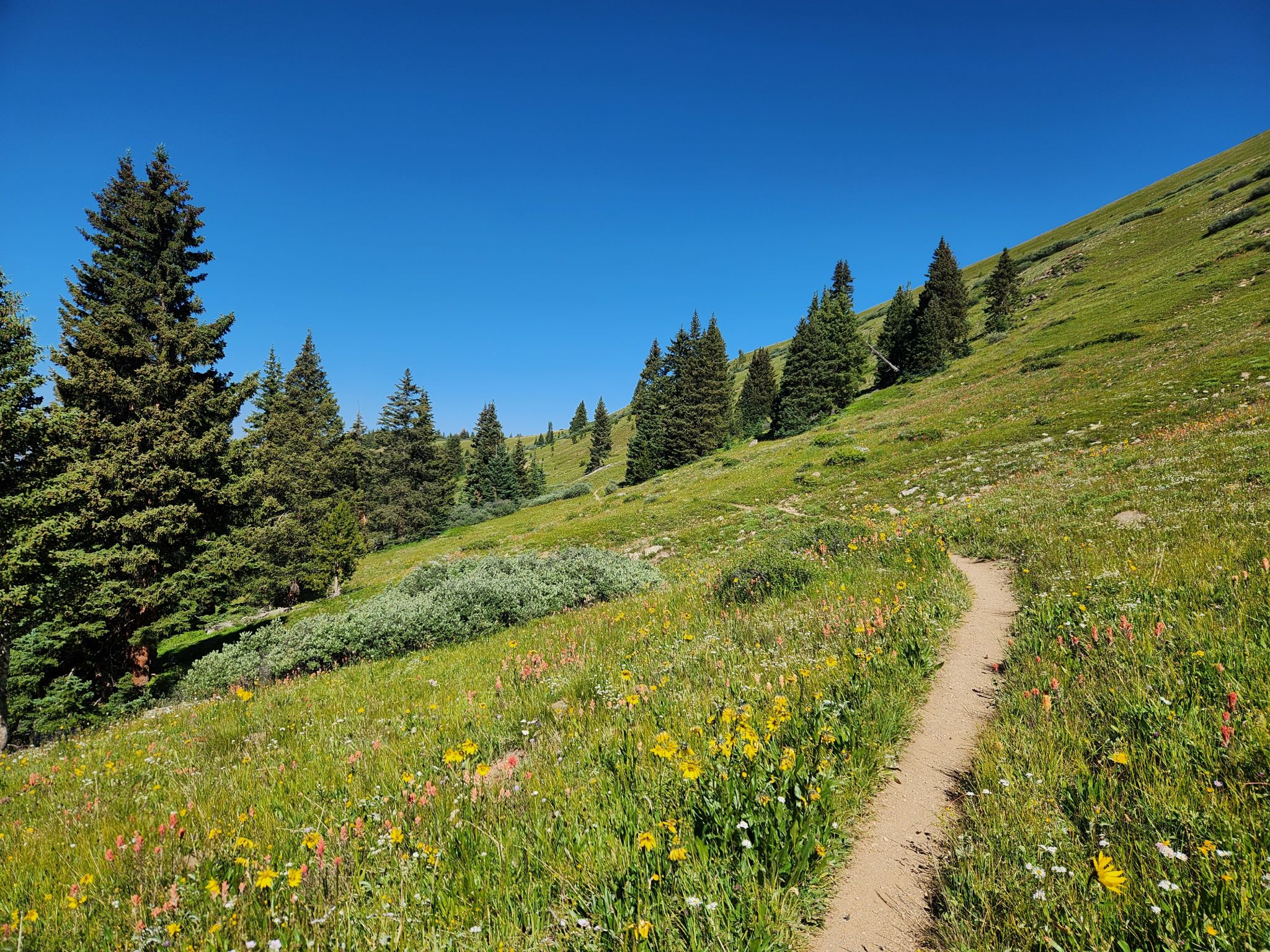 colorado spring hiking
