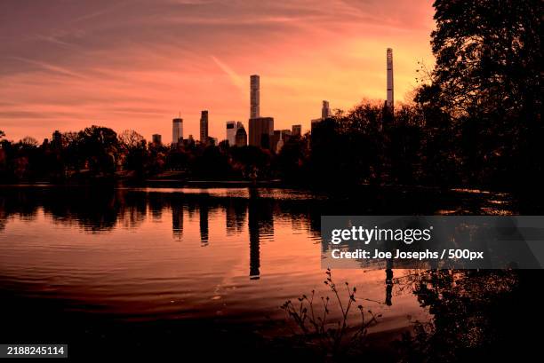 silhouette of trees by lake against sky during sunset,new york city,new york,united states,usa - urban exploration stock pictures, royalty-free photos & images