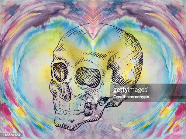 skull sphere - lake reflection stock illustrations