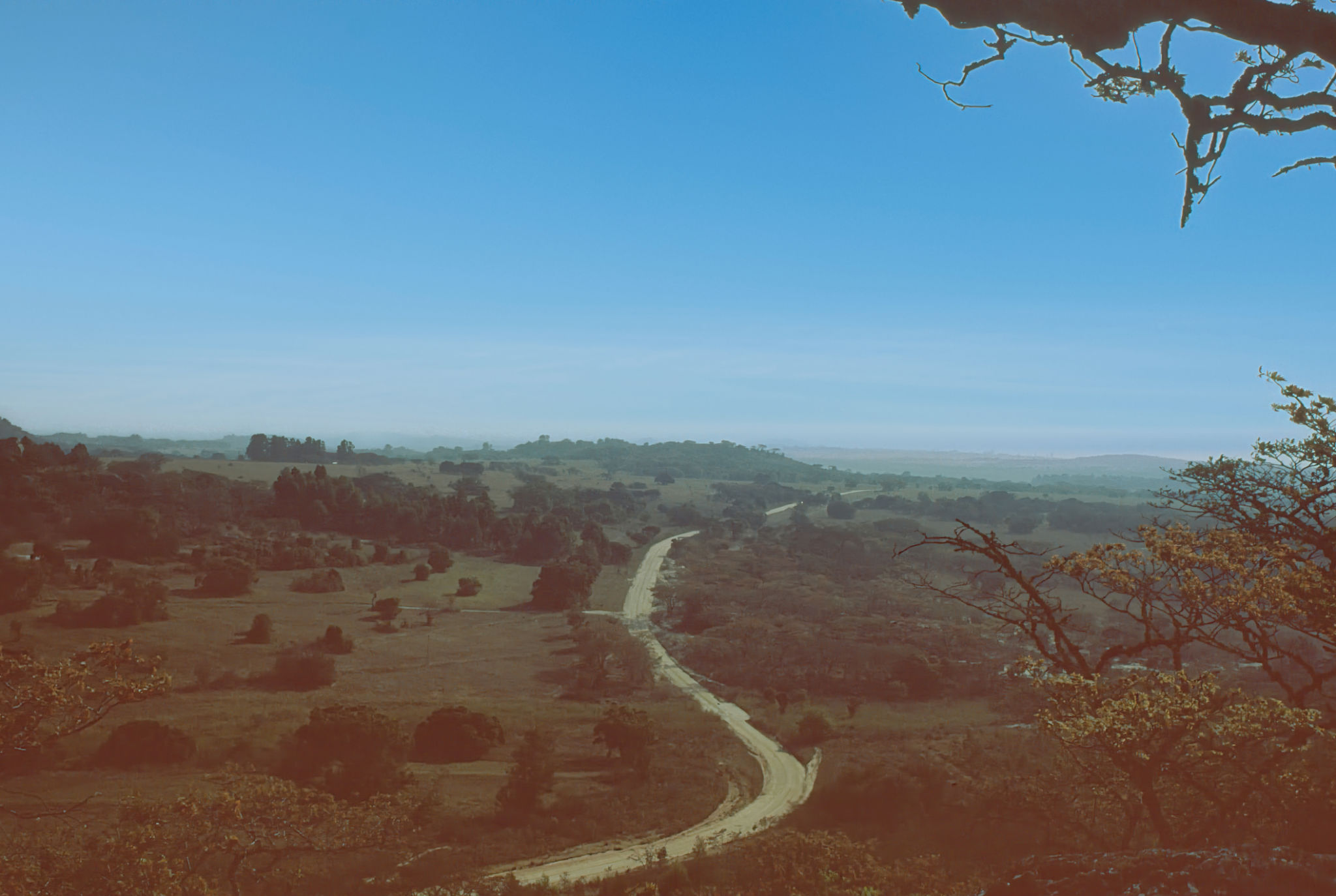 Savannah in Zimbabwe Savannah in Zimbabwe