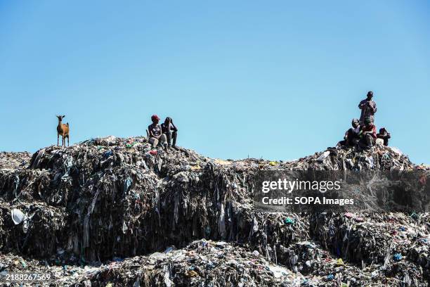 Waste pickers are seen at the Gioto Dumping site. Negotiations to develop a global plastics treaty concluded last month in Busan, South Korea,...