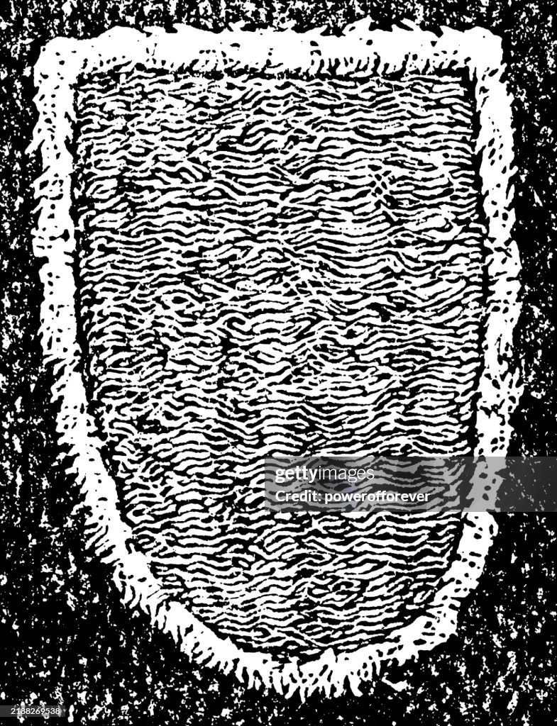 Victorian Loofah Sponge Mitten - 19th Century