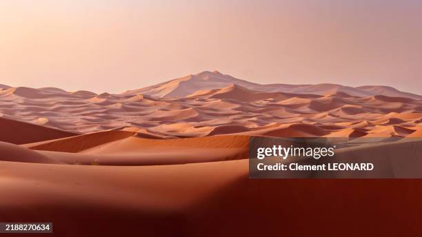 beautiful landscape of the sand dunes of the erg chebbi at sunrise, during the golden hour, merzouga - western sahara desert - errachidia province - drâa-tafilalet - morocco. - öken bildbanksfoton och bilder