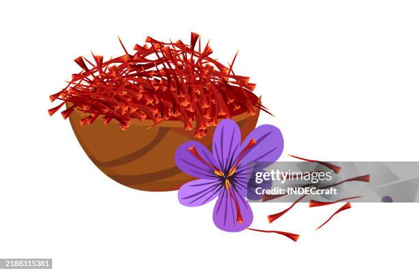 saffron - saffron flower stock illustrations