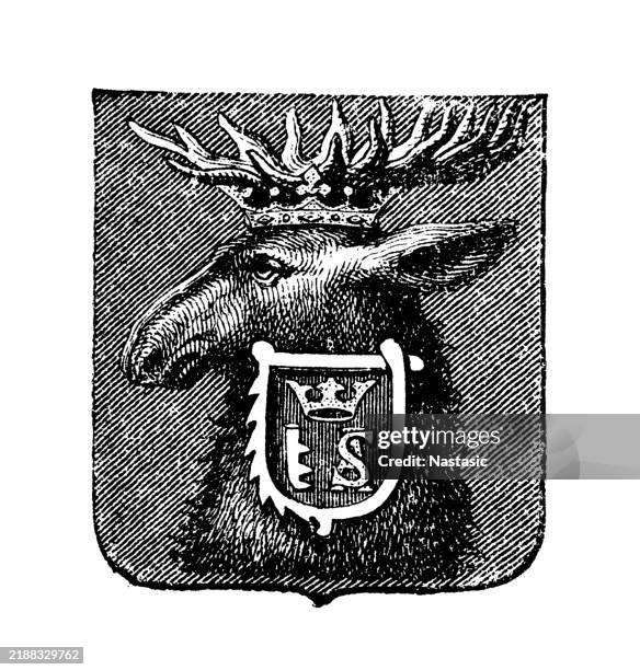 historical coats of arms of german cities ,coat of arms of mitau - colmar france stock illustrations