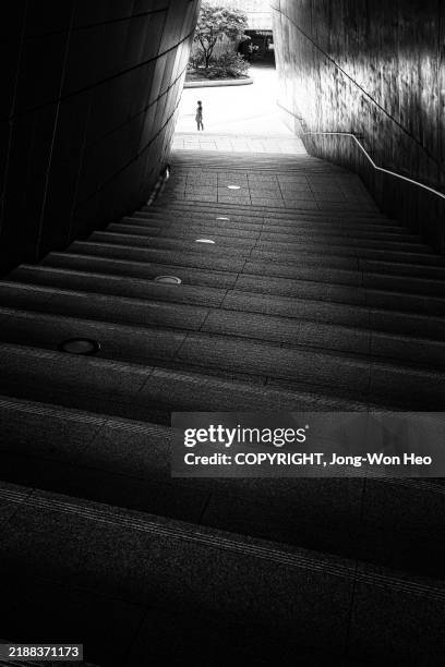descent steps into the light" - dongdaemun design plaza stock pictures, royalty-free photos & images