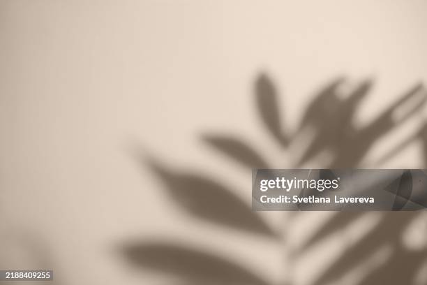 blurred shadows of leaves on pink background. demonstration of color of the year 2025. color of the year. mocha color. - schattig stock-fotos und bilder