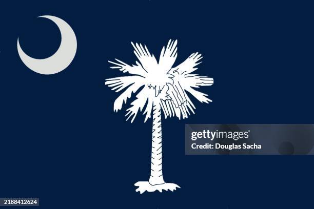 flag of south carolina state - amerikanische südstaaten flagge stock-fotos und bilder