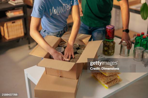 donations packing for food bank - recolha-de-alimentos imagens e fotografias de stock