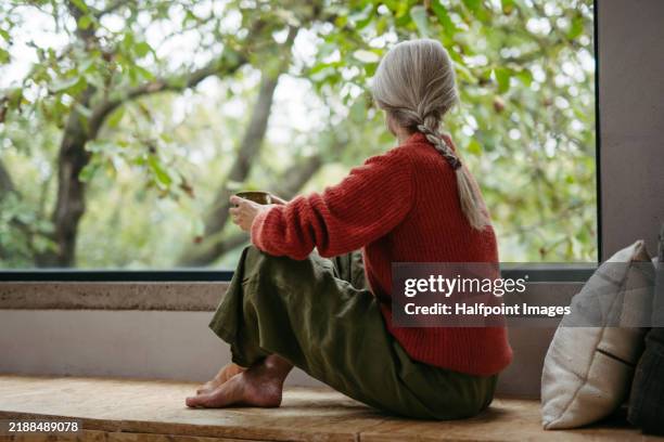woman sitting by window and looking out. rear view of woman drinking coffee, taking a break. - só uma mulher idosa imagens e fotografias de stock